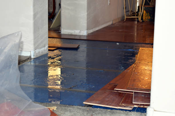 Professional Burst Pipe Cleanup technician working in French Camp, CA